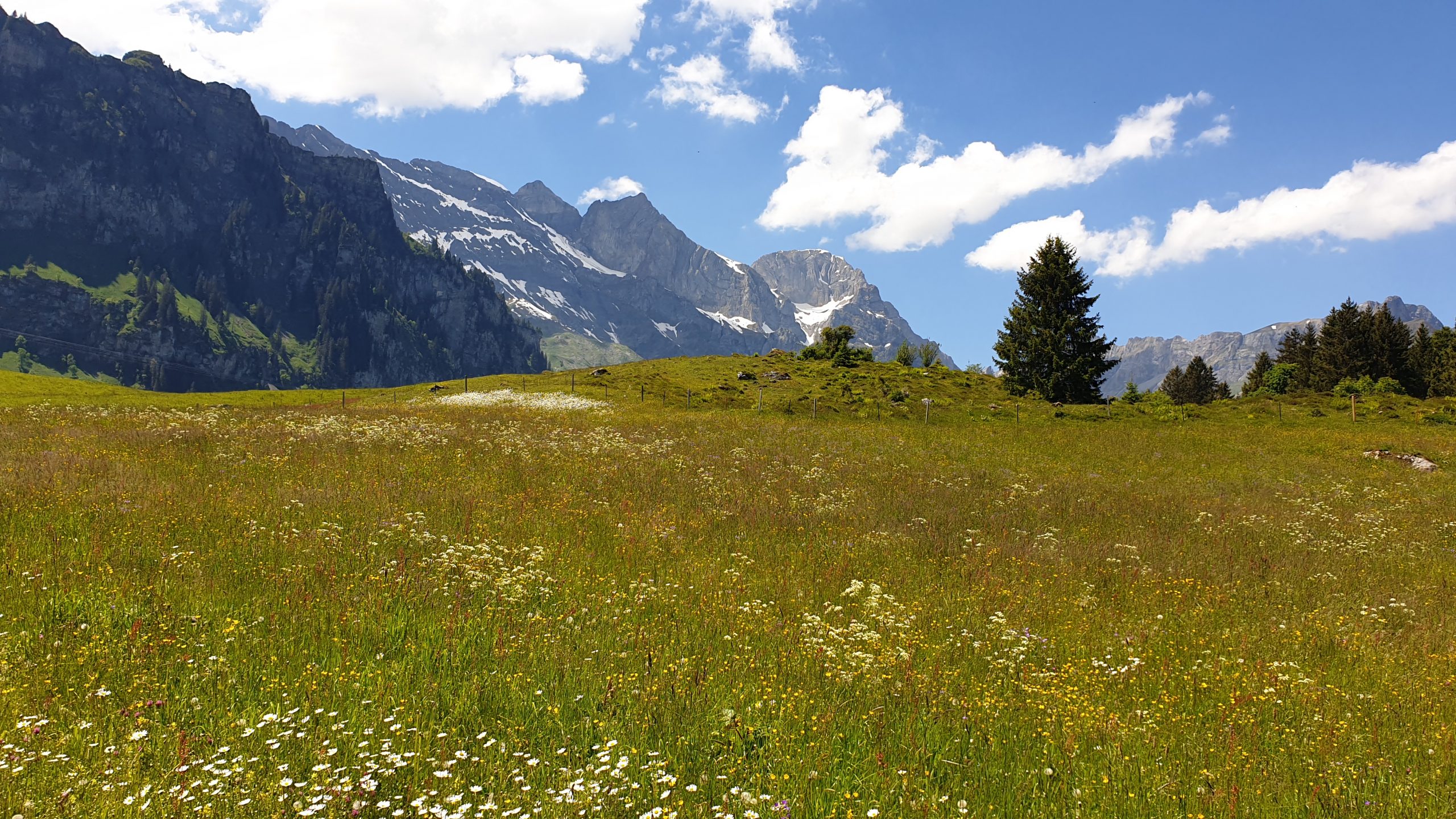 Gerschnialp mountain paths