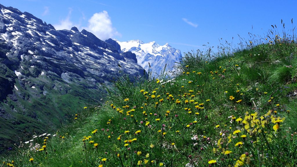 View down the valley