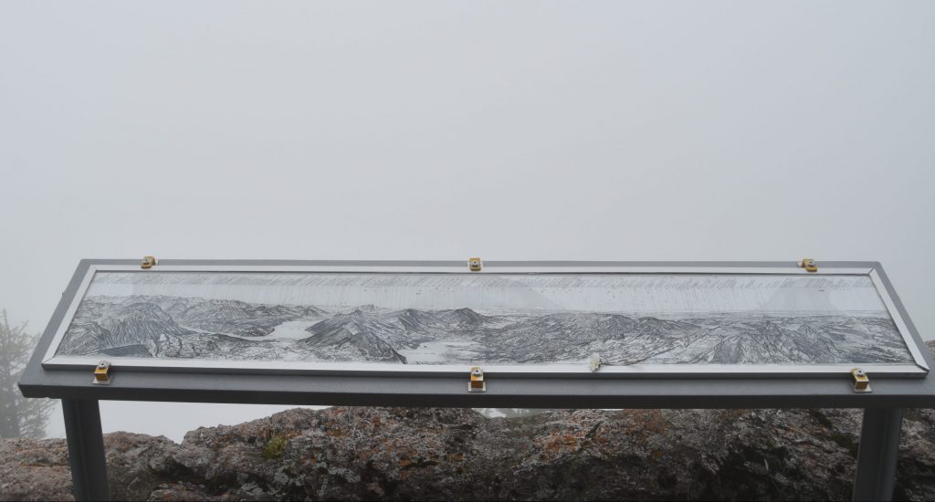 The view that we should have had...