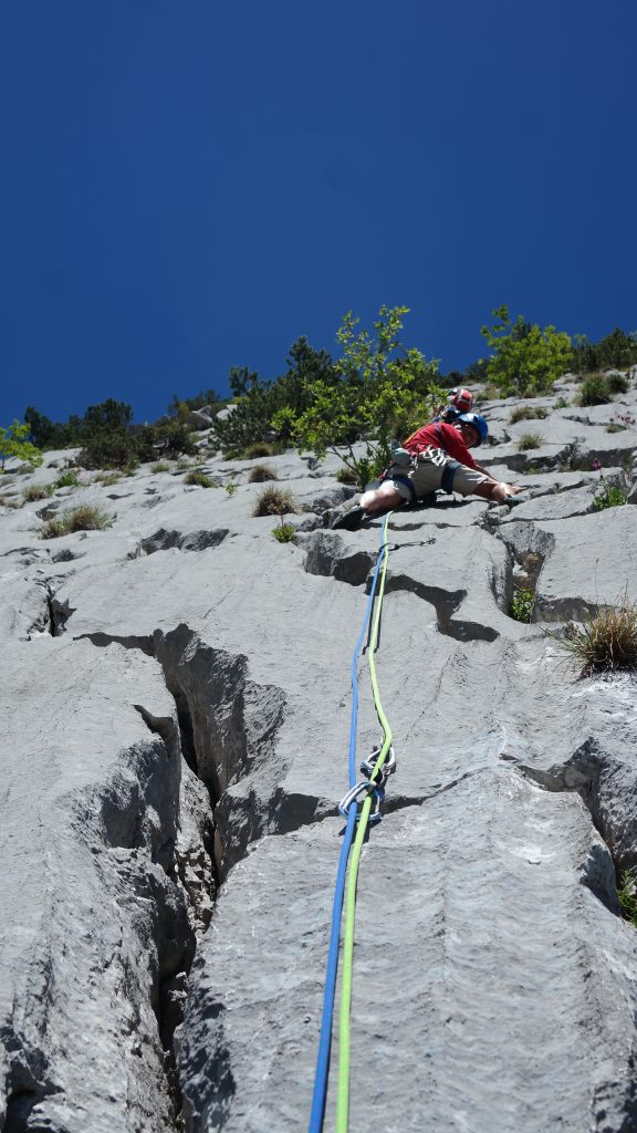 Bert on the second pitch