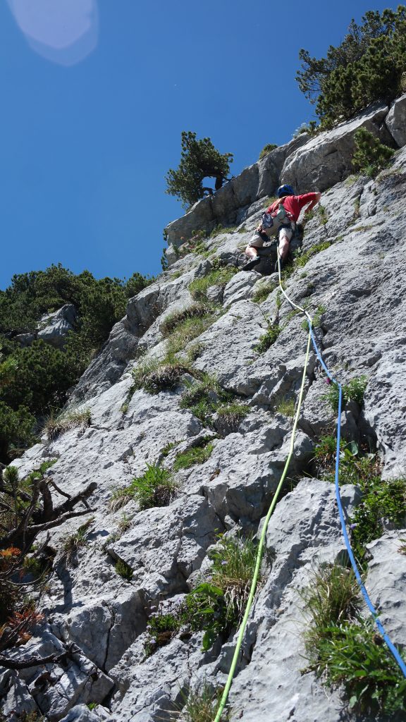 Bert nearly at the top