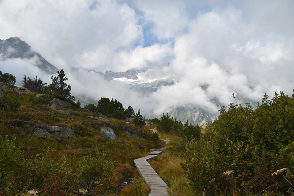 Glimpses of the Dammagletscher