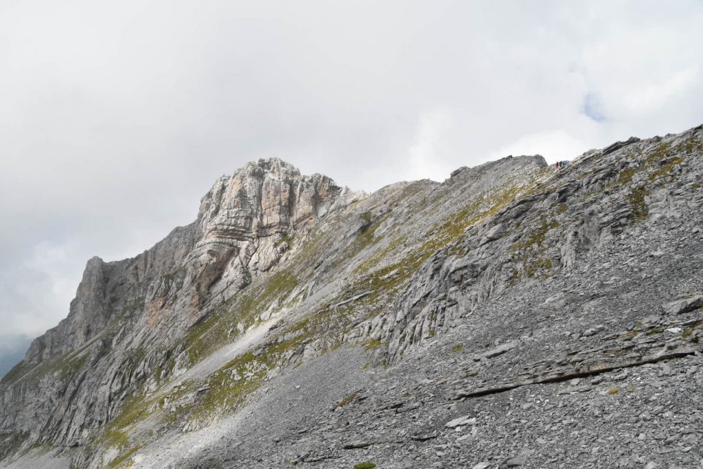 Graustock coloured pink in the afternoon sun