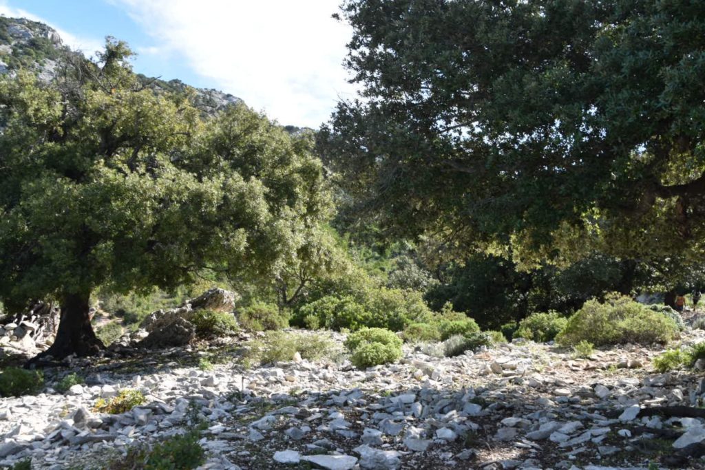 Path not suitable for pushchairs