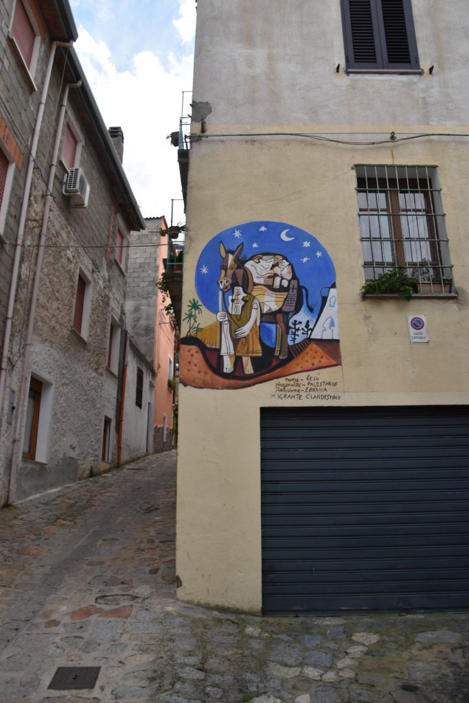 Another illegal immigrant?