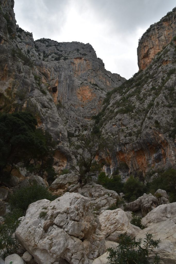 Start of the Gola Goroppu