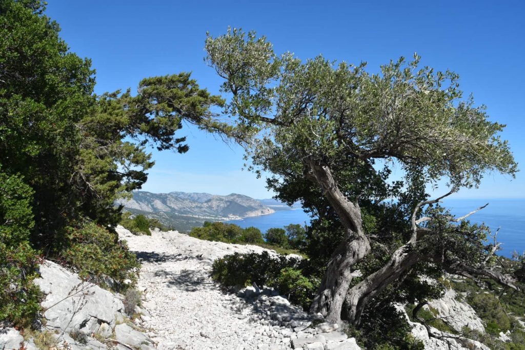 The rugged path from Cala Sisine