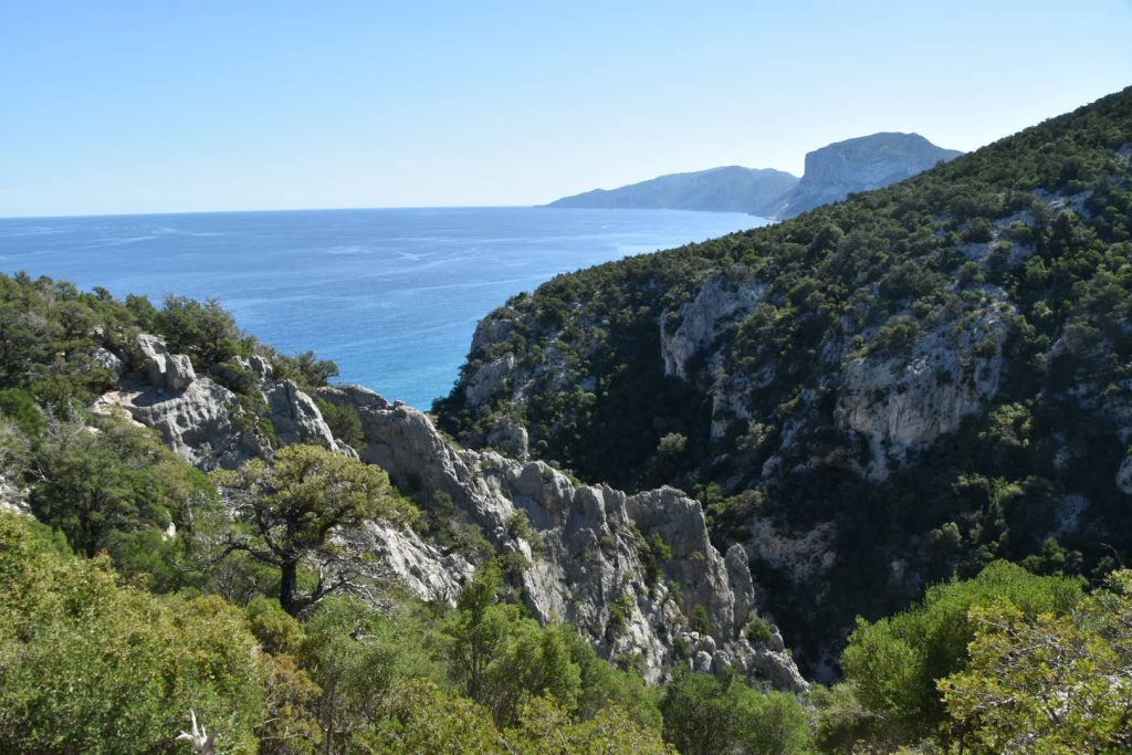 One of many canyons along the coastline