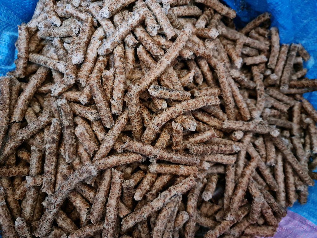 A byproduct of the oil extraction process. Protein-rich pulp fed to animals