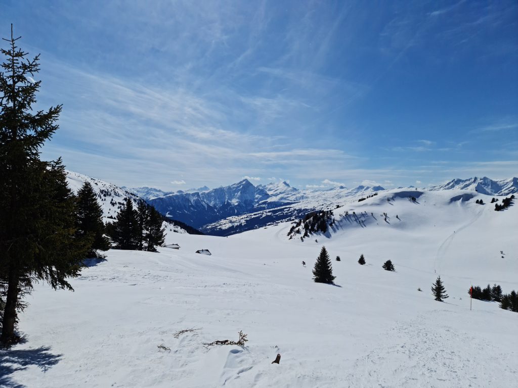 The snowshoeing trail leading towards Feldis