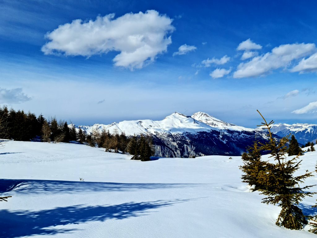 Easier going on the snowshoeing trail