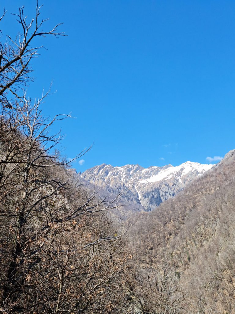 View from the ponte Tibetano