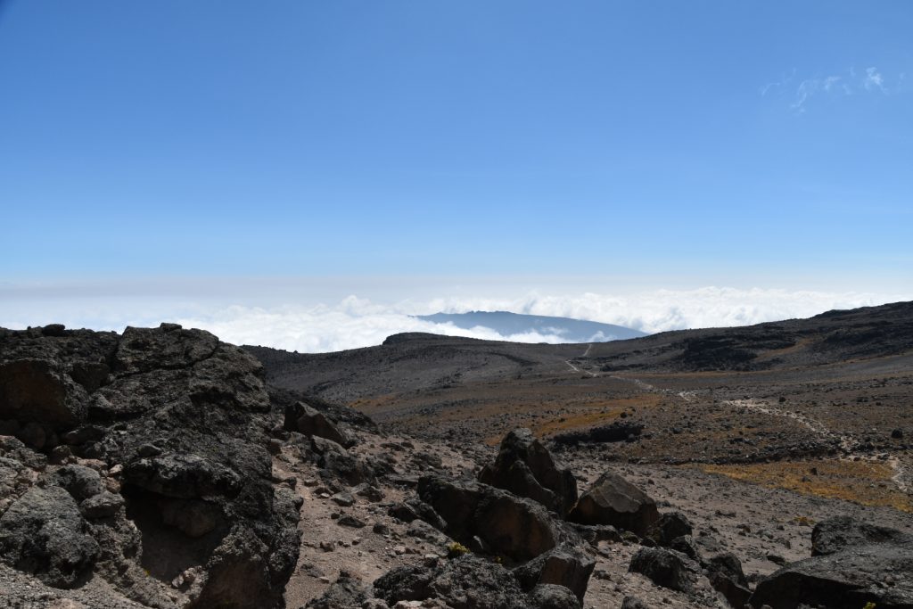 The path climbers follow on the Lemosho and Shira routes across the Shira plateau on Kilimanjaro