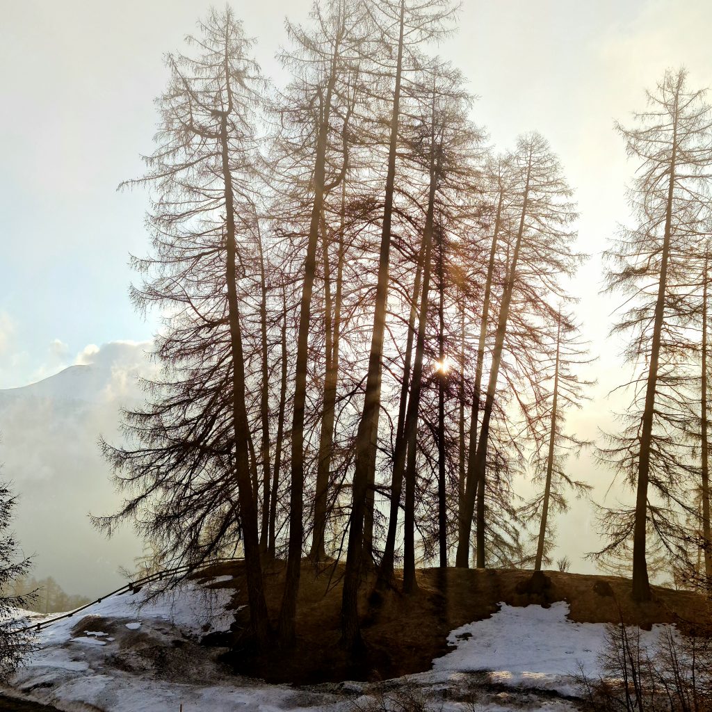 Sunrise seen from our hotel room