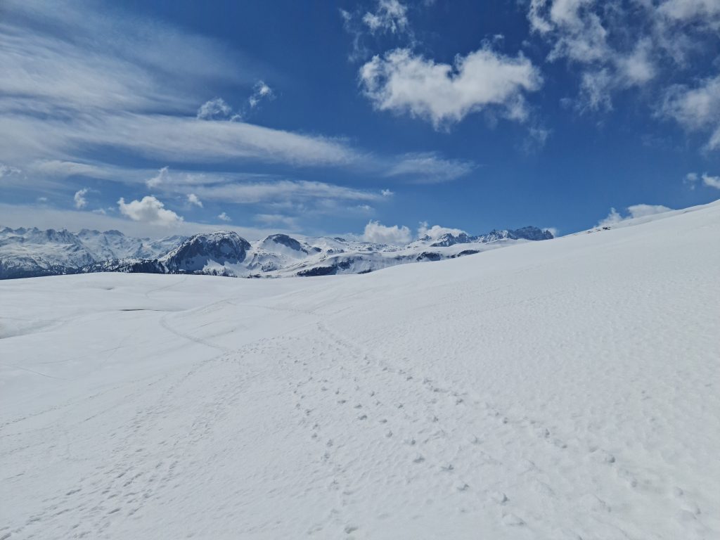 Snowshoe trekking in the Beverin Nature Park