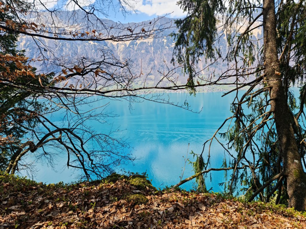 Brienzersee - from our picnic spot