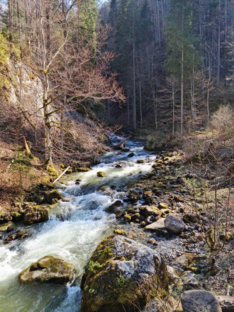 The river that feeds the Giessbachfälle