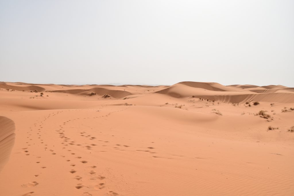 Footprints... trekking in the Sahara
