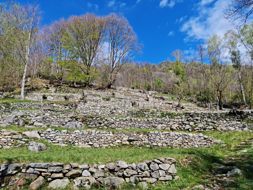 Terraced farm lands on the Valle Verzasca trail