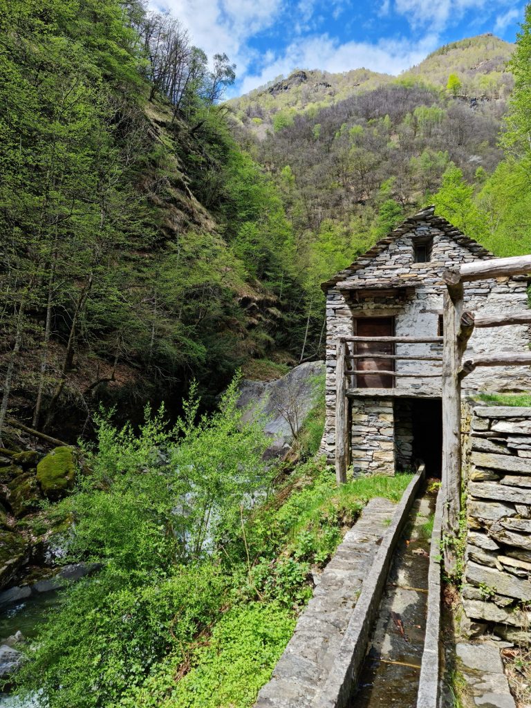 Channel taking water from mill