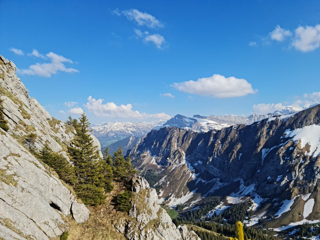 Scenic view from the Chöpfenberg south ridge