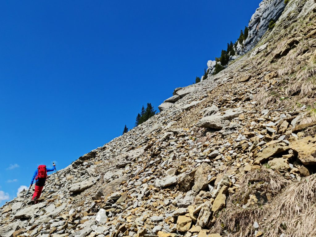 Bert scrambling across the scree